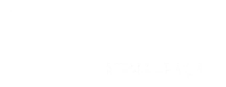 theme-sticky-logo-alt