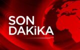 Çanakkale’de korkunç olay: Ormanda yanmış ha... Çanakkale’de korkunç olay: Ormanda yanmış ha...