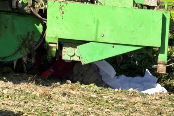 Tarlada can pazarı: 3 çocuk annesi çiftçi yaşamını... Tarlada can pazarı: 3 çocuk annesi çiftçi yaşamını...